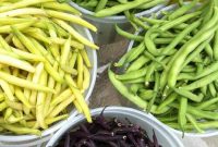 How to Freeze Green Beans for Freshness All Year