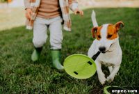 Parenting with Pets: Practical Tips for Busy Families