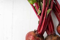 New Nordic Kitchen: Modern Scandinavian Recipes and Techniques