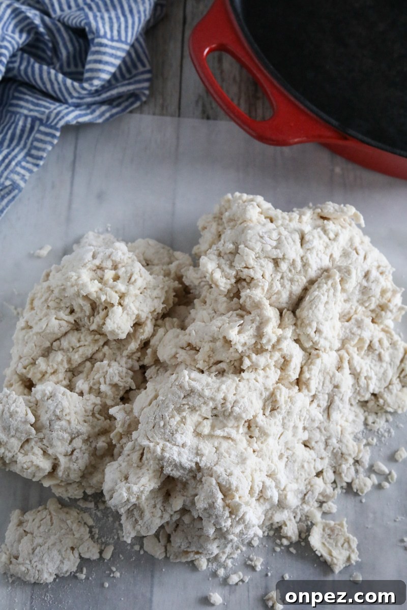 Flaky Homemade Buttermilk Biscuits from Scratch 6 combined biscuit dough