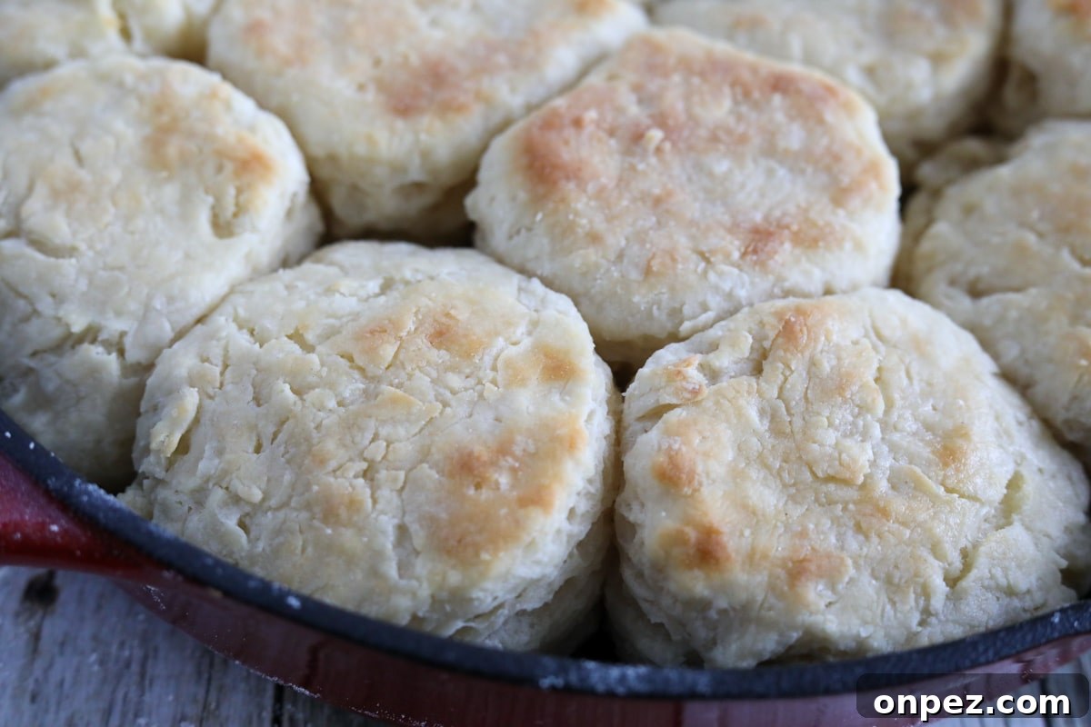 Flaky Homemade Buttermilk Biscuits from Scratch 9 finished biscuits in a cast iron skillet
