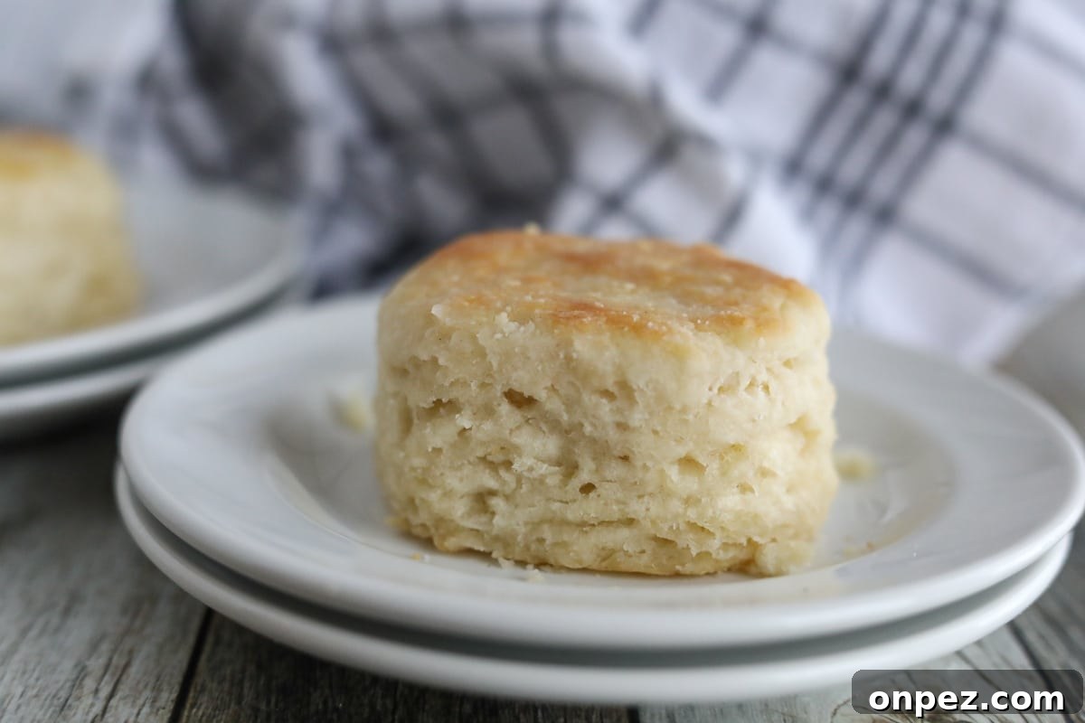 Flaky Homemade Buttermilk Biscuits from Scratch 10 buttermilk biscuit on a white plate