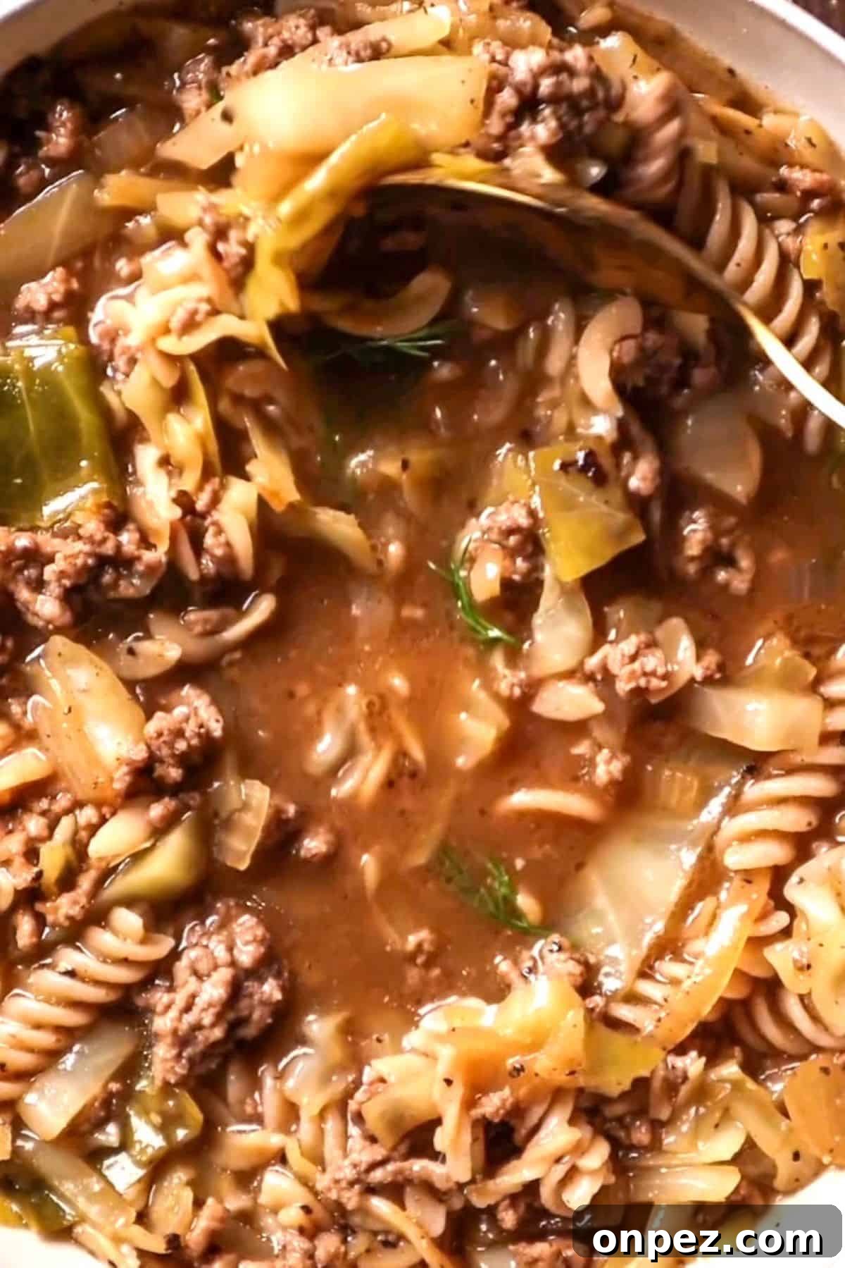 beef and cabbage soup