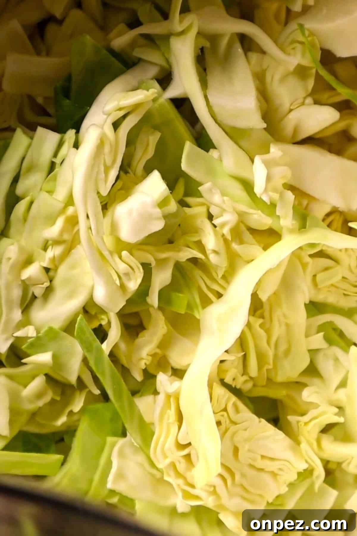 sliced cabbage and onions for soup