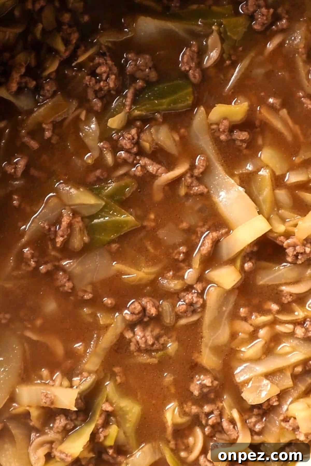 cabbage and beef soup