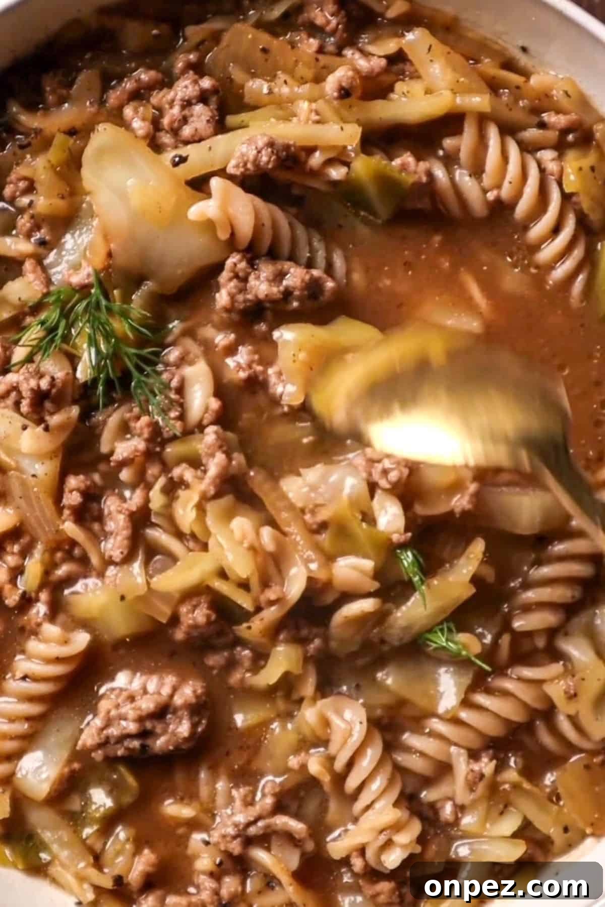 cabbage and ground beef soup