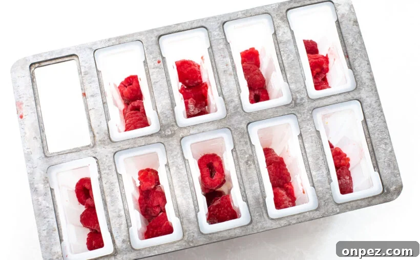 Sangria Popsicle Recipe: Refreshing Wine Pops for Summer 5 Popsicle molds with fresh raspberries in them.