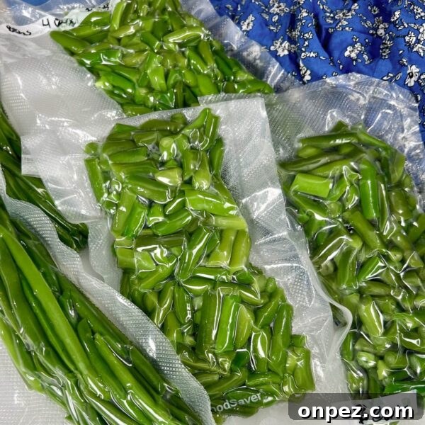 How to Freeze Green Beans for Freshness All Year 8 vacuum sealed bags of green beans