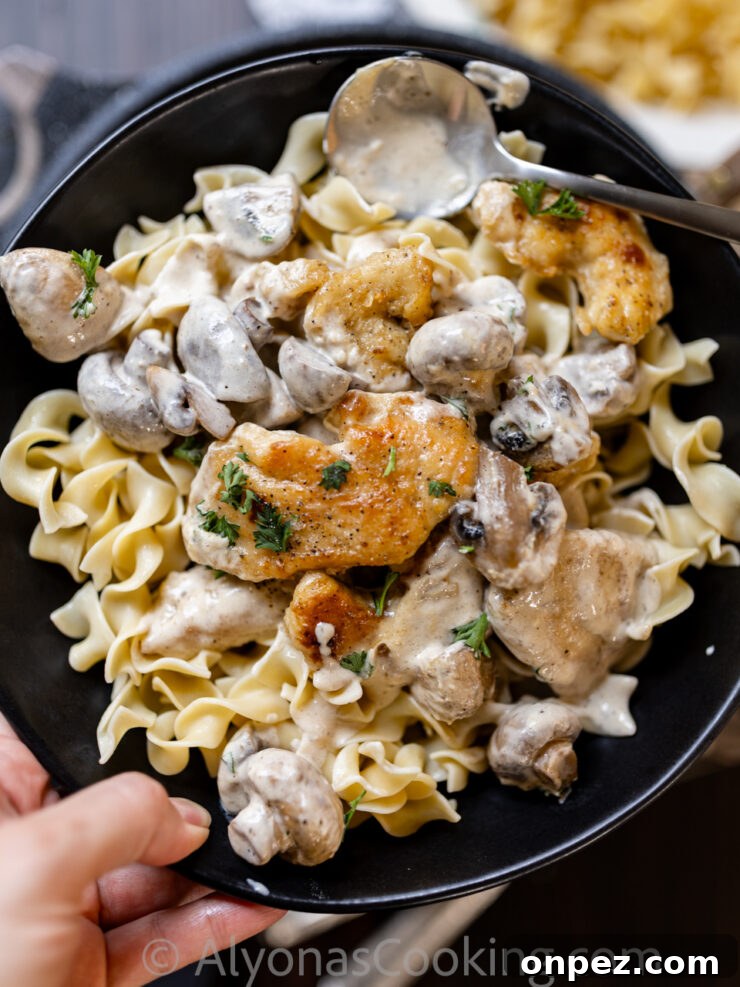 Smothered Chicken in Creamy Mushroom Sauce 4 image of smothered chicken in mushroom sauce over egg noodles on a black plate
