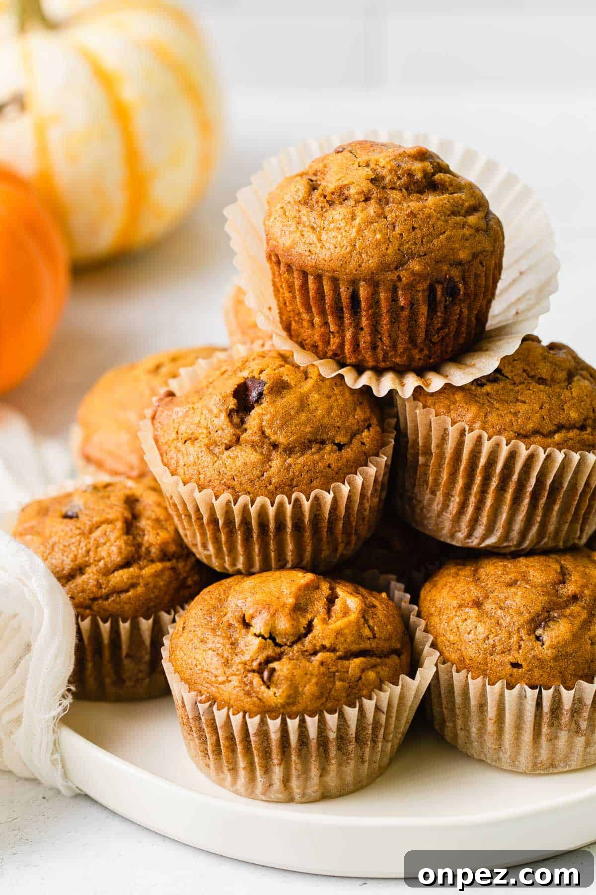 Pumpkin Chocolate Chip Muffins Recipe 2 Pumpkin chocolate chip muffins stacked on a plate.