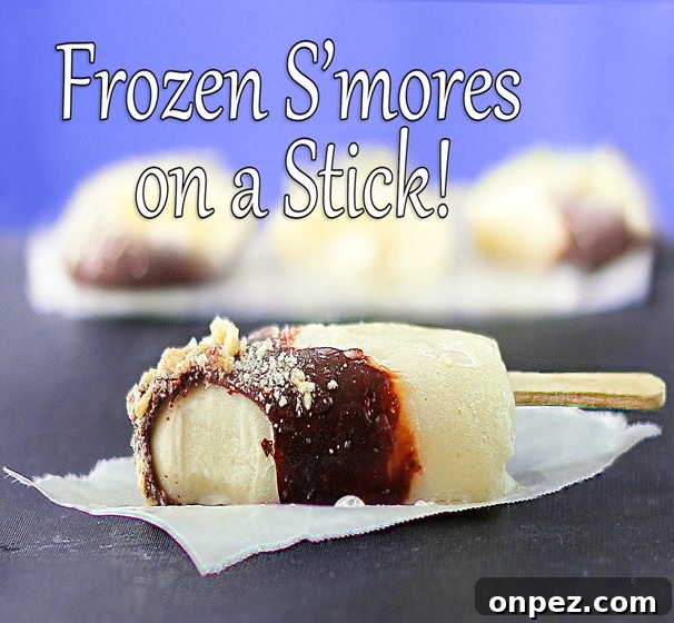 Frozen S'mores! Frozen s'mores popsicles