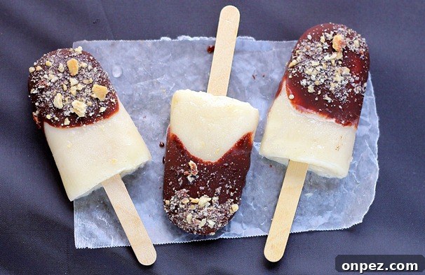 s'mores popsicles s'mores popsicles