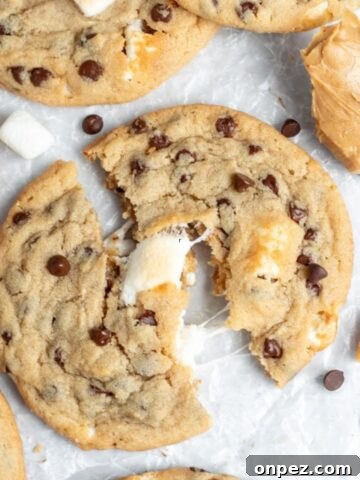 M&M Rice Krispie Treats Recipe 8 Peanut Butter Marshmallow Cookies
