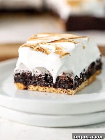 M&M Rice Krispie Treats Recipe 10 S’mores Brownies