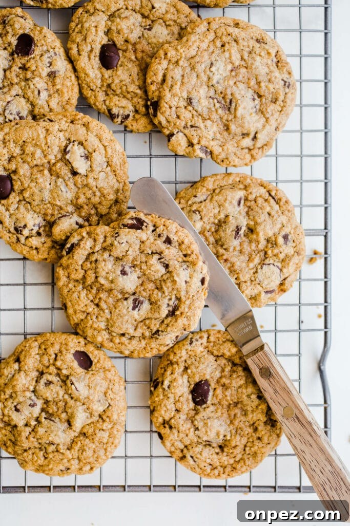Chewy Gluten Free Vegan Chocolate Chip Cookies 3 chocolate chip cookies on a silver wire rack.
