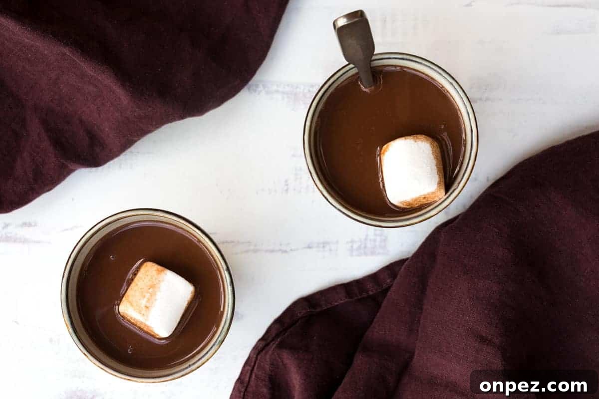 Cozy Non-Alcoholic Winter Drinks and Hot Mocktails 3 Oat milk hot chocolate in a cup