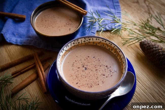 Cozy Non-Alcoholic Winter Drinks and Hot Mocktails 6 Mexican mocha in a mug