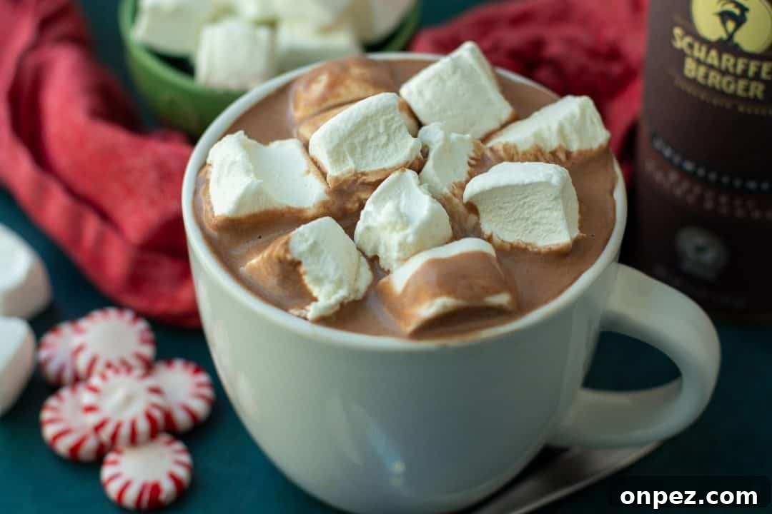 Cozy Non-Alcoholic Winter Drinks and Hot Mocktails 8 Old fashioned hot chocolate with marshmallows