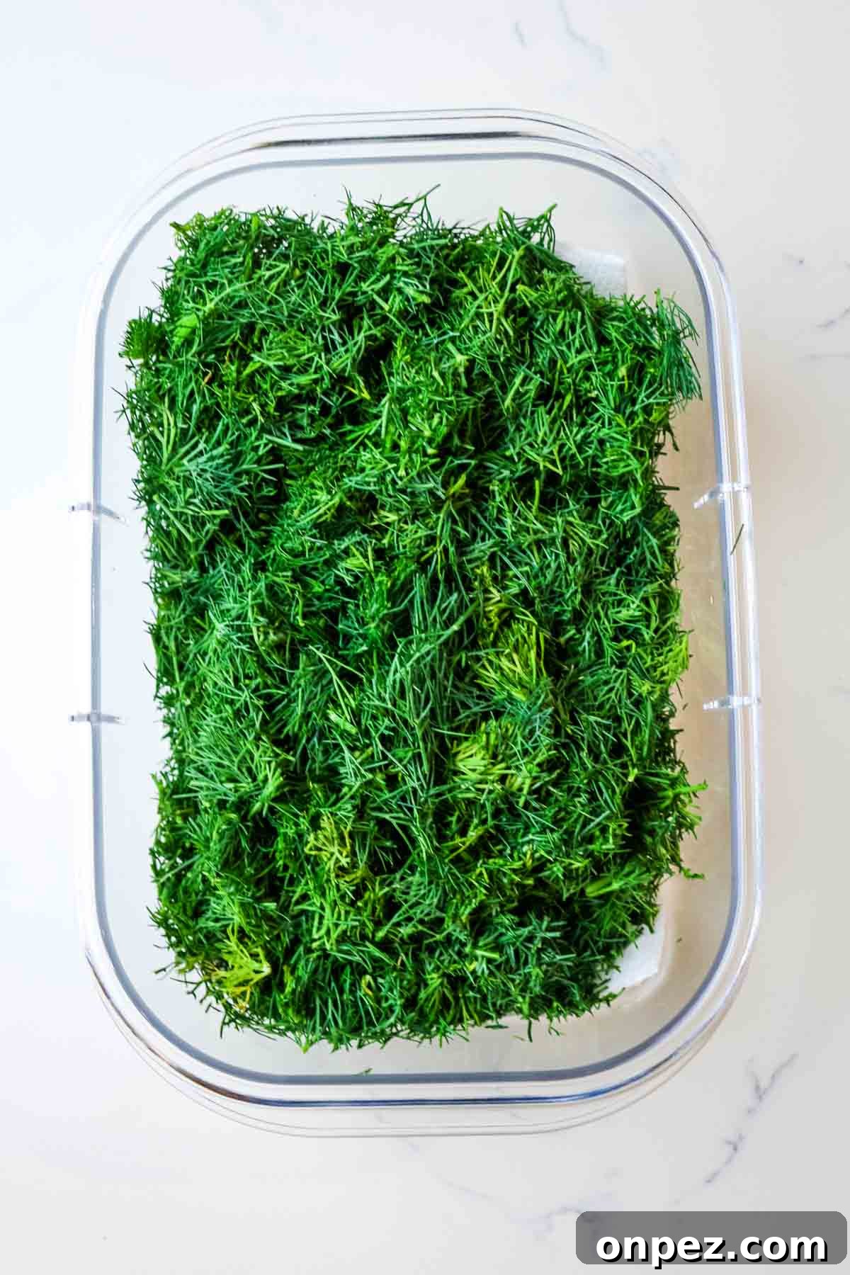 How to Chop Fresh Dill for Maximum Flavor and Yield 8 finely chopped fresh dill in a plastic container in a post on how to chop fresh dill.