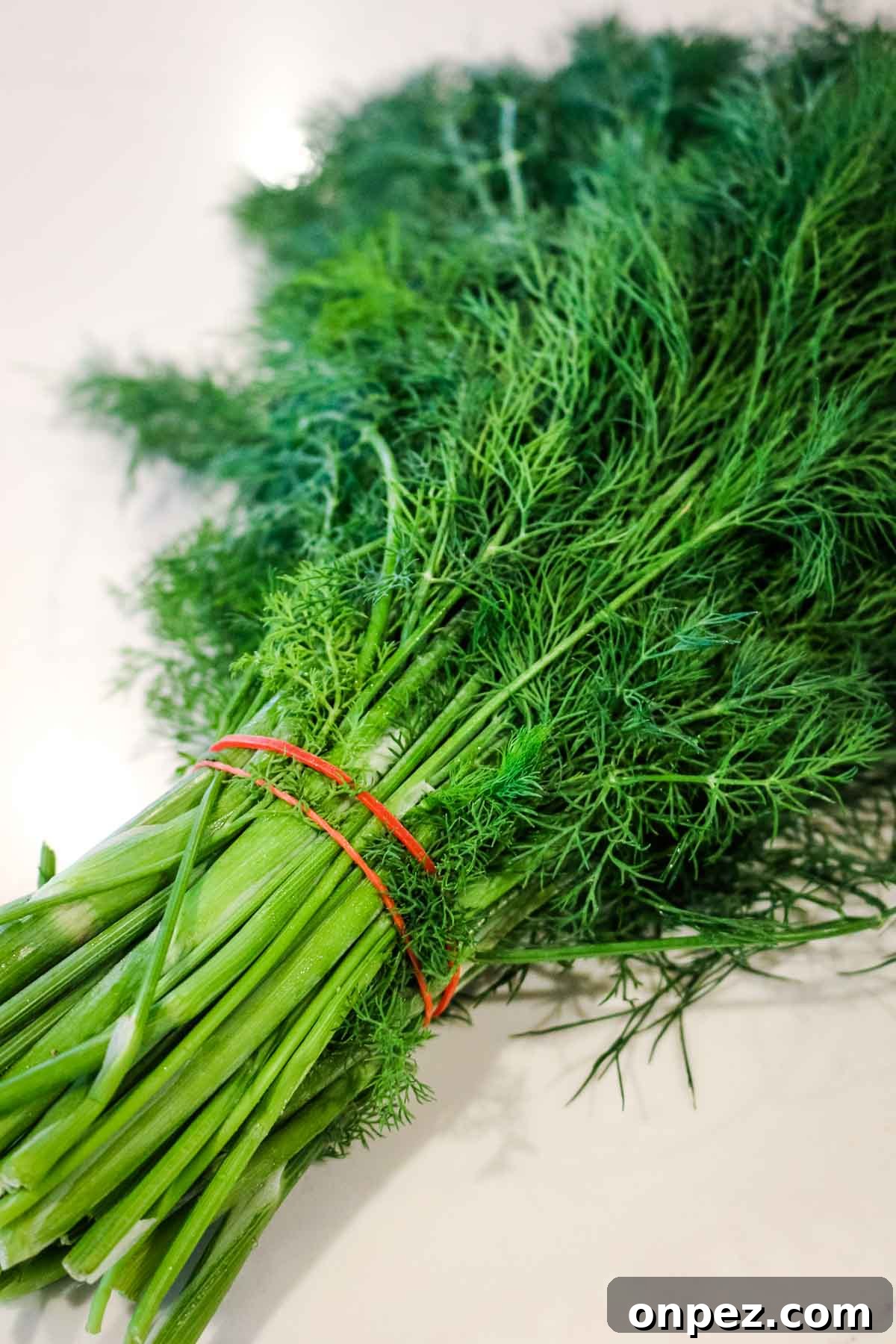 How to Chop Fresh Dill for Maximum Flavor and Yield 3 fresh dill with red rubberband around the stems in a post on how to cut fresh dill