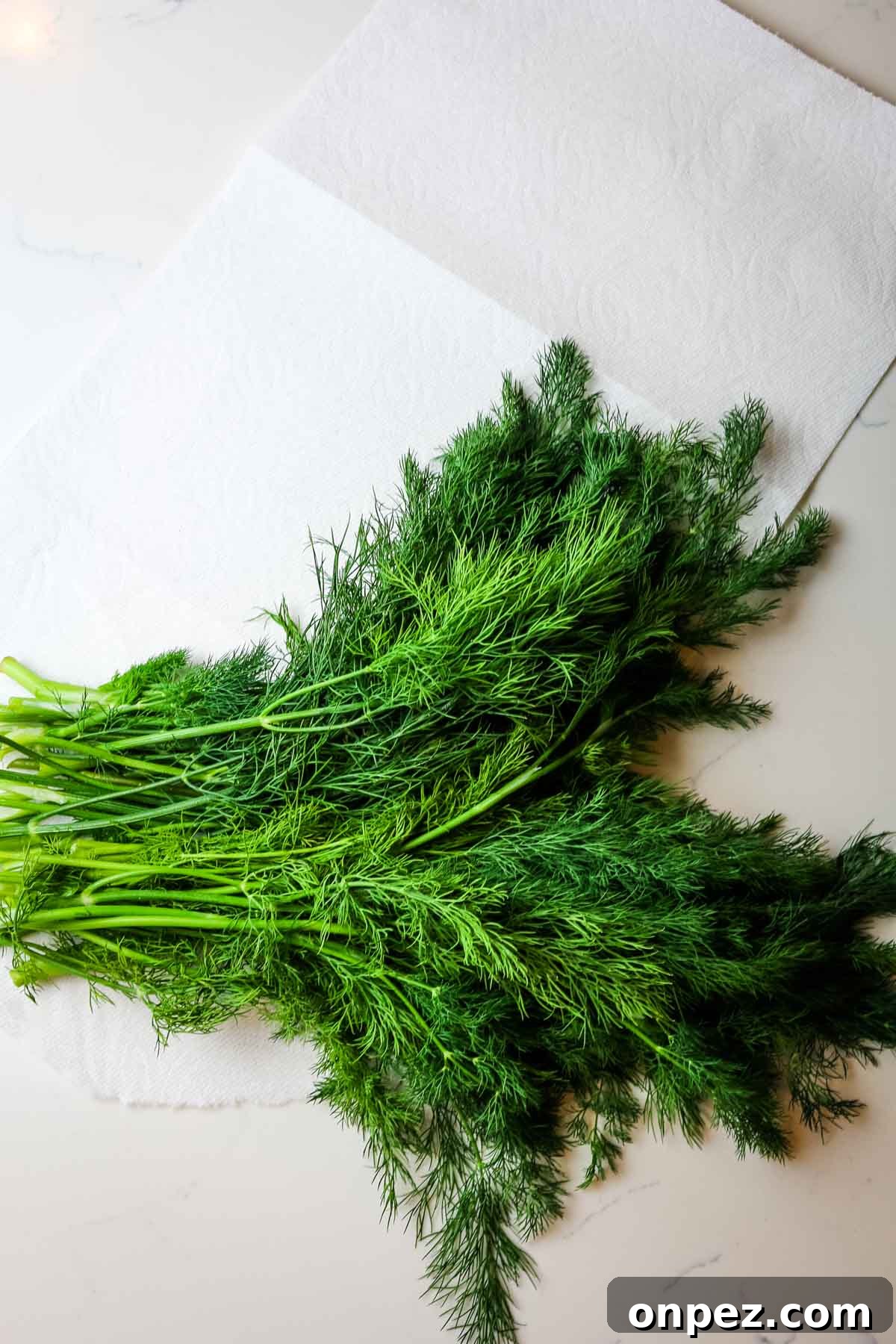 How to Chop Fresh Dill for Maximum Flavor and Yield 4 washed and dried dill on paper towel for a post on how to chop dill.