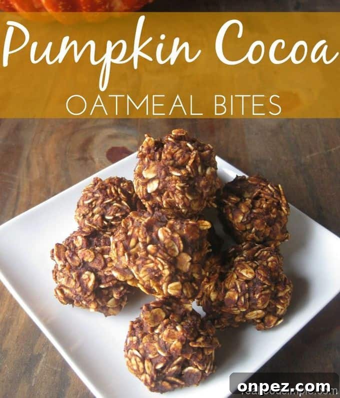 Pumpkin cocoa oatmeal bites