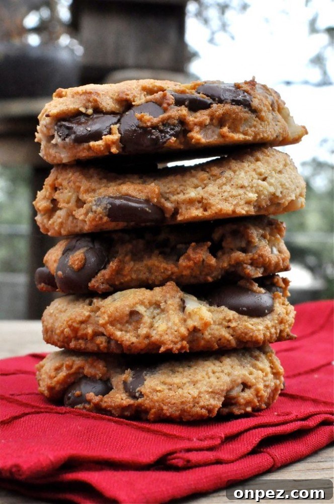 Paleo dark chocolate chip walnut cookies
