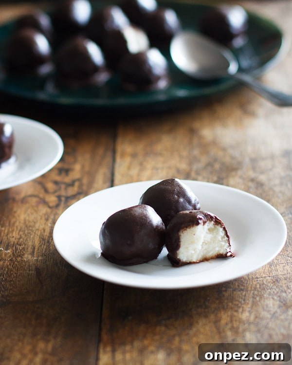 Dark Chocolate Coconut Bites