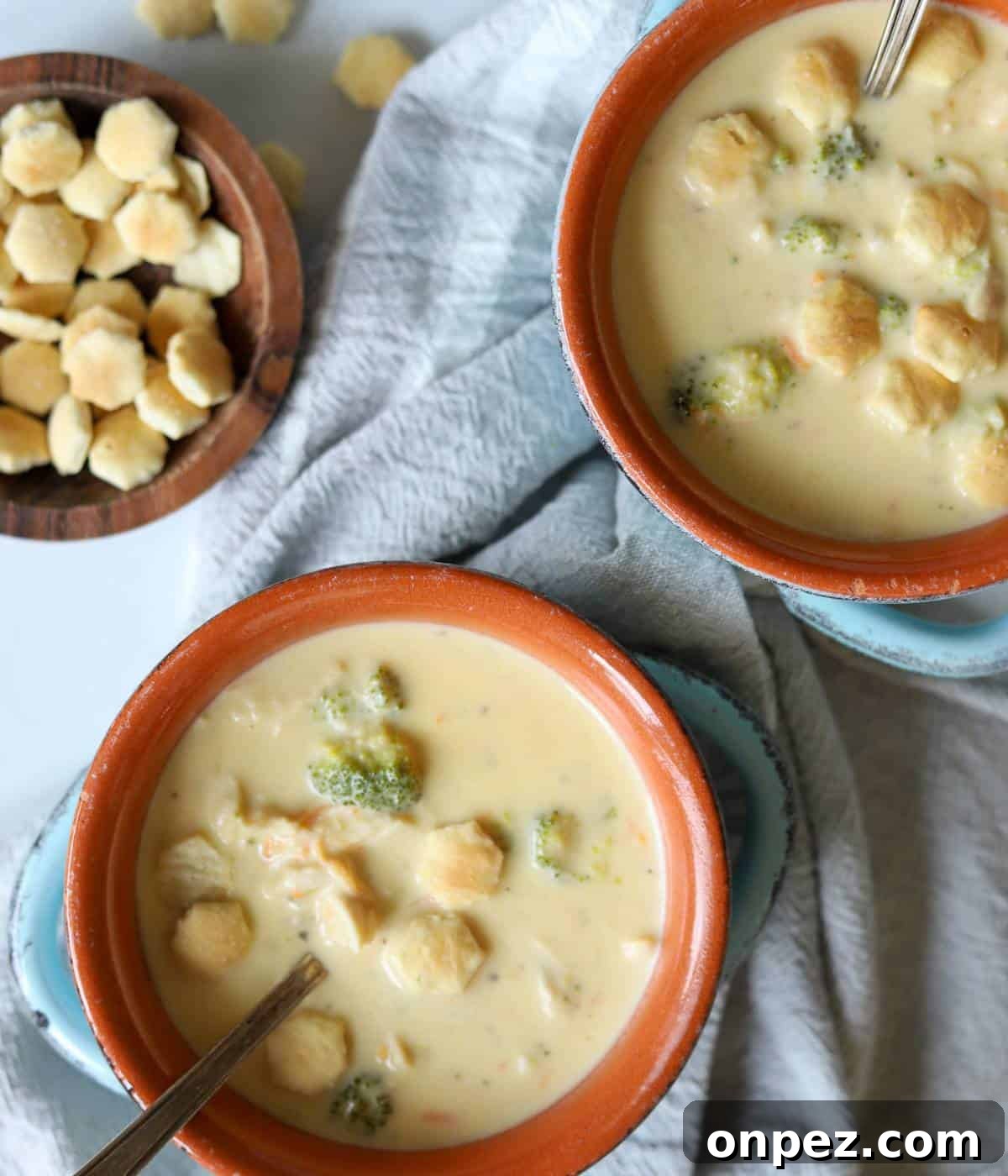 Creamy Chicken and Broccoli Cheddar Soup Recipe 10 Served chicken broccoli cheddar soup.