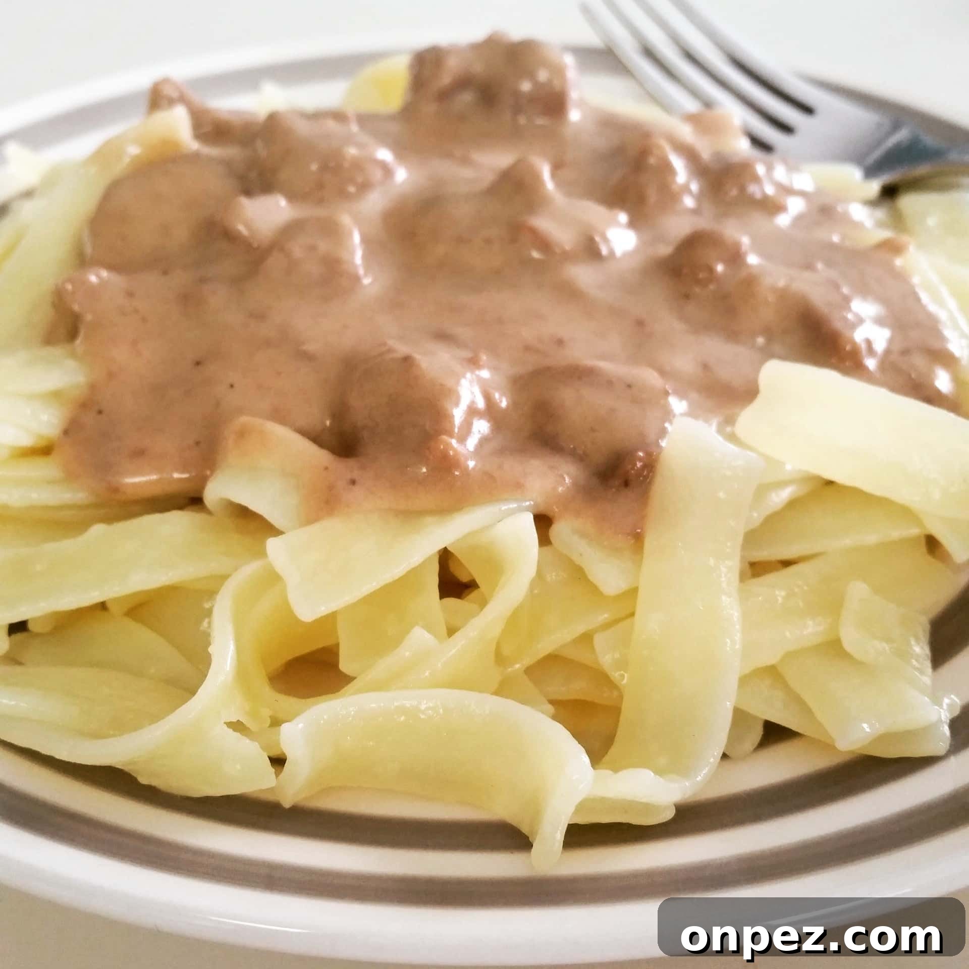 Gluten Free Crock Pot Beef Stroganoff