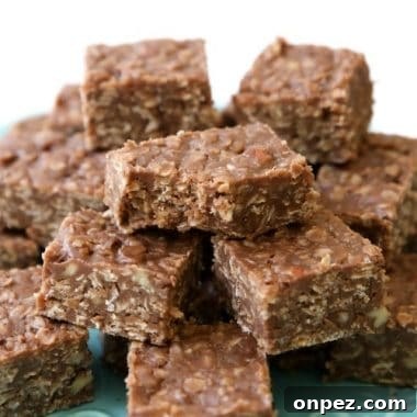 No-Bake Cookie Bars Recipe (No Oven Needed) 7 No Bake Cookie Bars