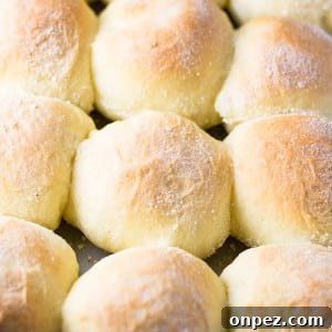 Pan de sal