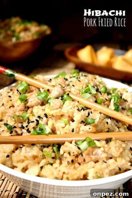 Dinner Recipes for Busy Weeknights Part 2 5 Hibachi Pork Fried Rice is a fried rice recipe with pork and pineapple juice