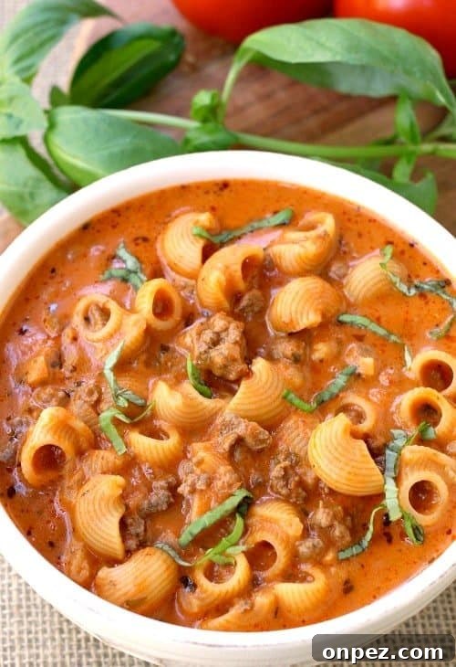 Dinner Recipes for Busy Weeknights Part 2 6 Beefy Tomato Soup is a soup recipe with ground beef and pasta