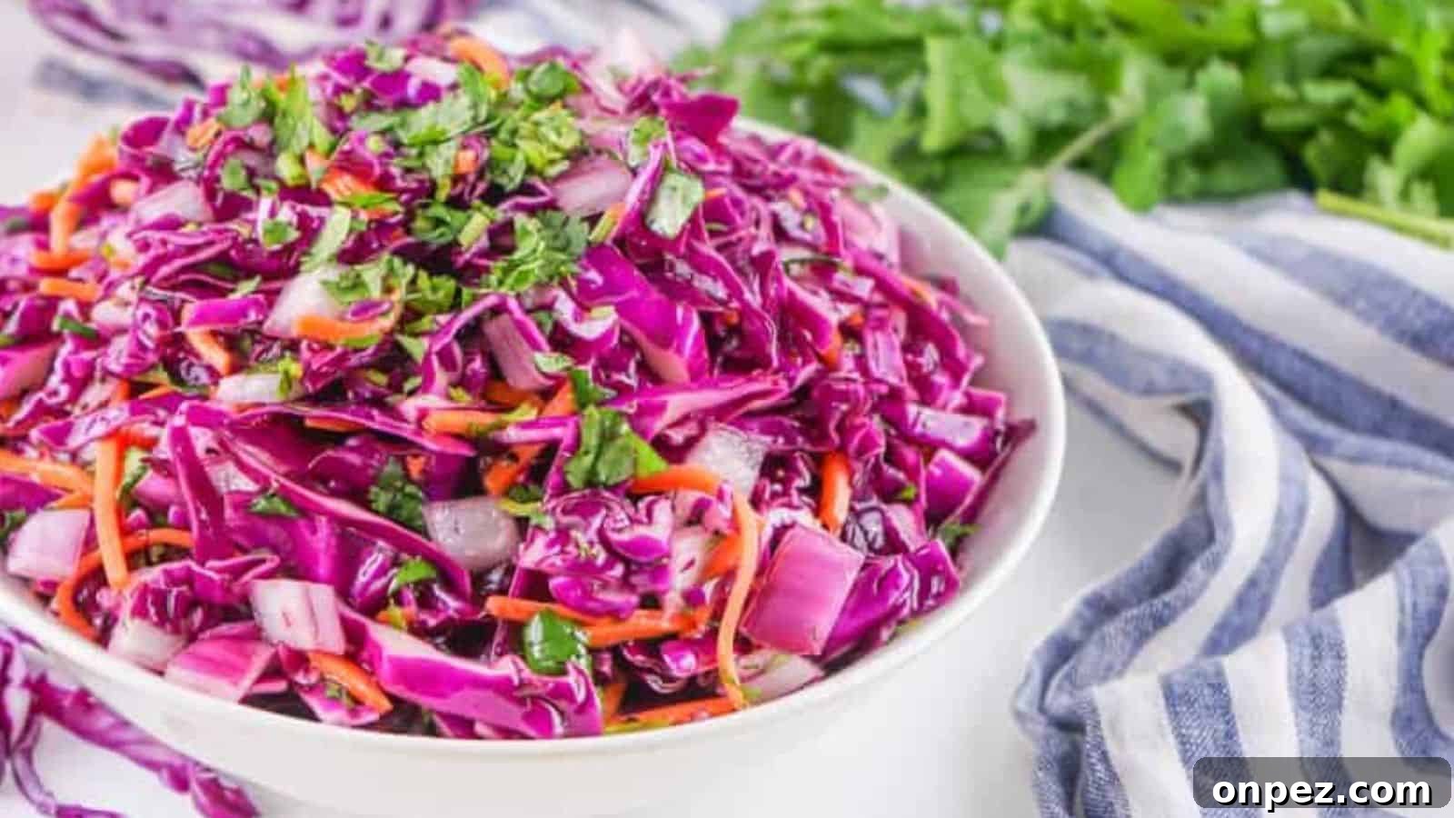A bowl of fresh red cabbage coleslaw garnished with herbs.