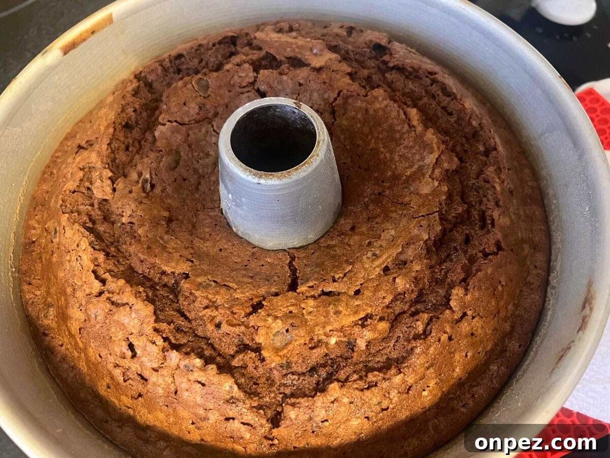 Chocolate Oreo Pound Cake Recipe 5 Freshly baked Chocolate Oreo Pound Cake, in pan.