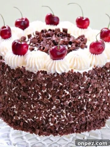Black Forest Cake on glass pedestal.