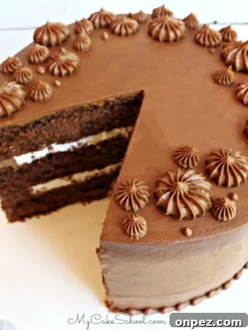Moist Chocolate Buttermilk Cake From Scratch- SO Good!