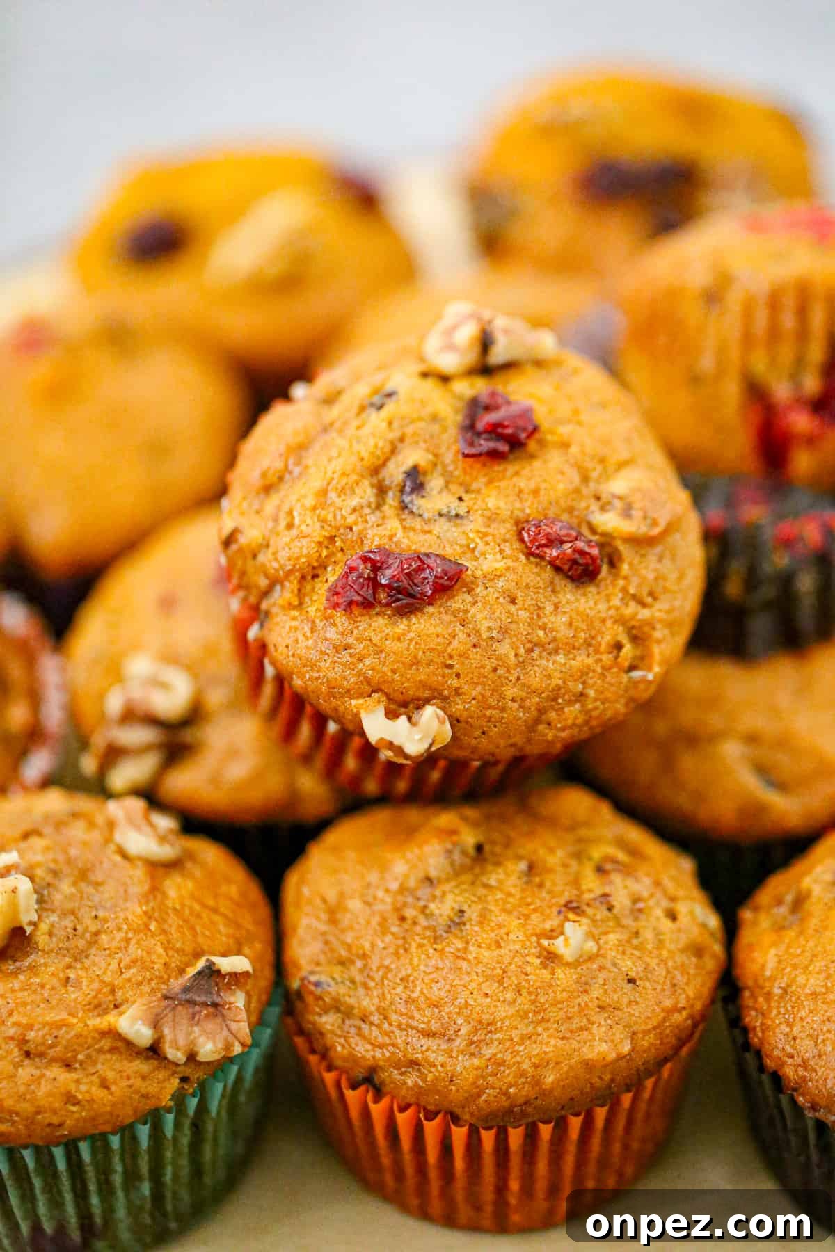 Pumpkin Cranberry Muffins with Cinnamon Streusel 5 best pumpkin cranberry muffin recipe fall muffins