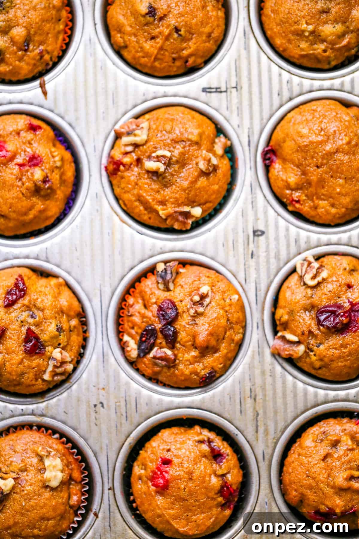 Pumpkin Cranberry Muffins with Cinnamon Streusel 7 best pumpkin cranberry muffin recipe fall muffins