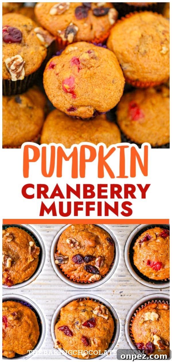Pumpkin Cranberry Muffins with Cinnamon Streusel 9 Best Pumpkin Cranberry Muffins