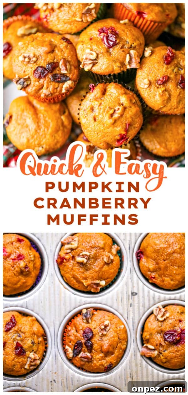 Pumpkin Cranberry Muffins with Cinnamon Streusel 10 Best Pumpkin Cranberry Muffins