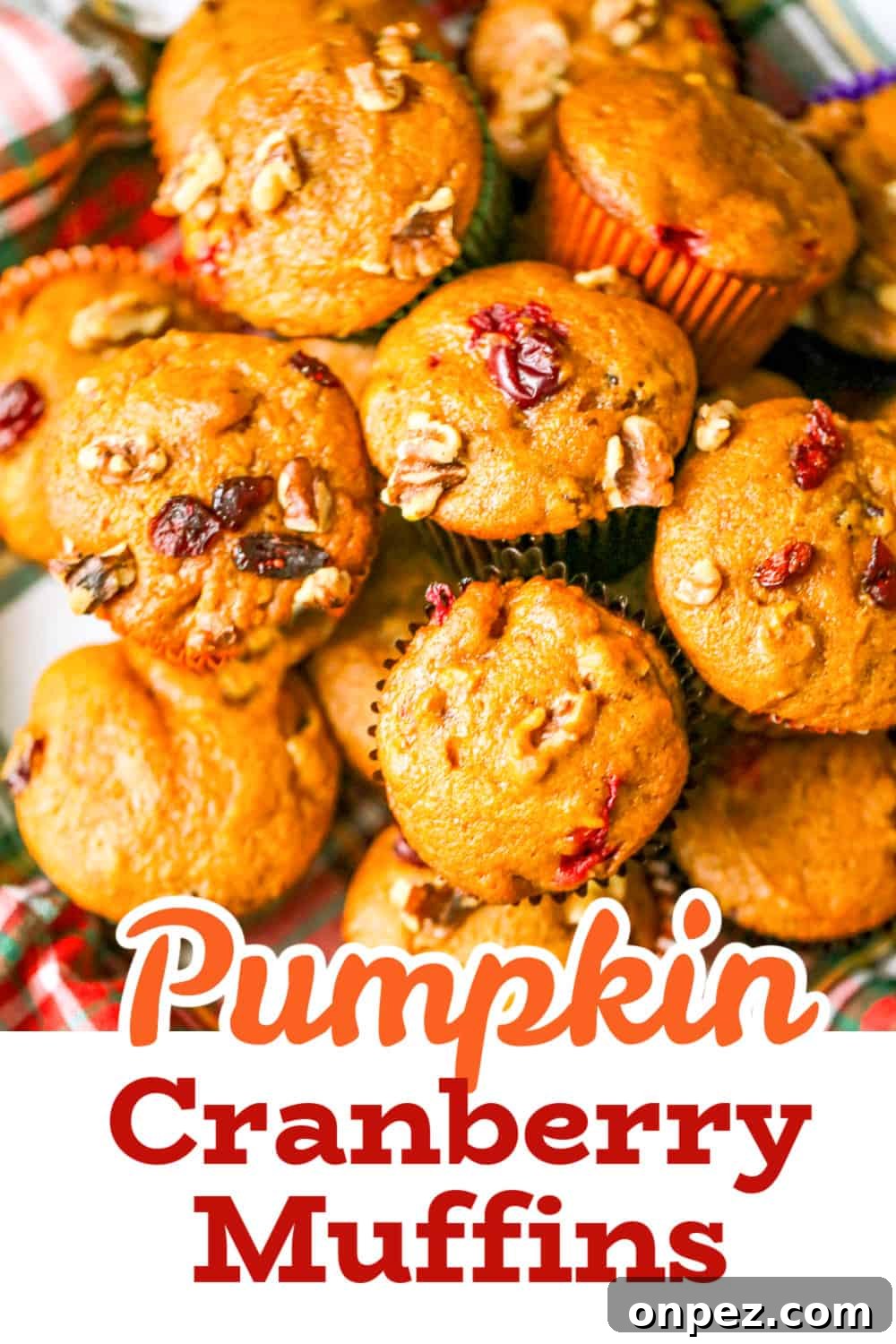 Pumpkin Cranberry Muffins with Cinnamon Streusel 11 Best Pumpkin Cranberry Muffins