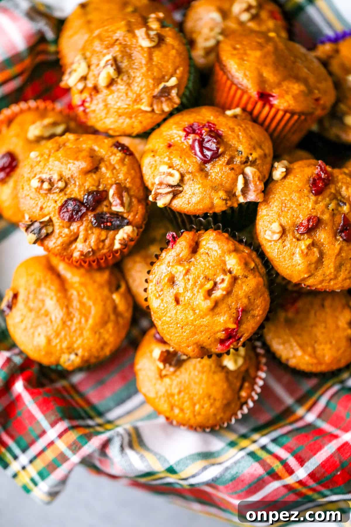Pumpkin Cranberry Muffins with Cinnamon Streusel 3 best pumpkin cranberry muffin recipe fall muffins