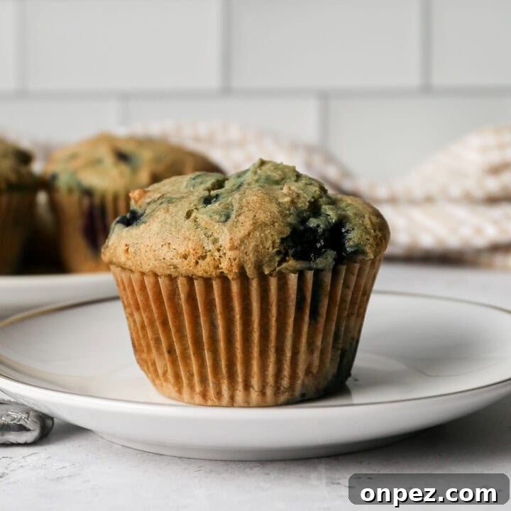 Gluten Free Blueberry Muffins