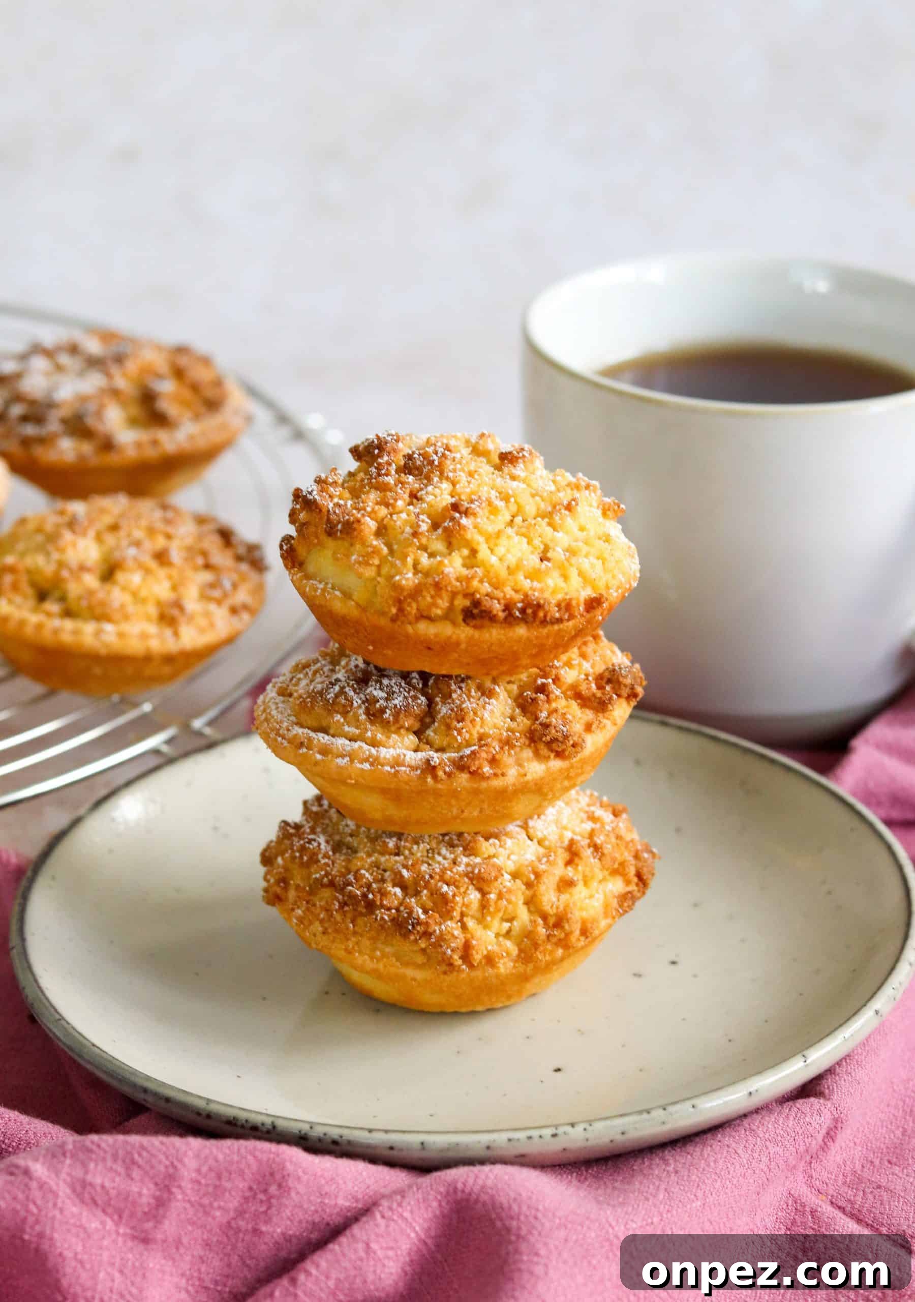 Fruity Bakes Cakes Crumbles and Dessert Recipes 5 A stack of 3 mini rhubarb and custard pies