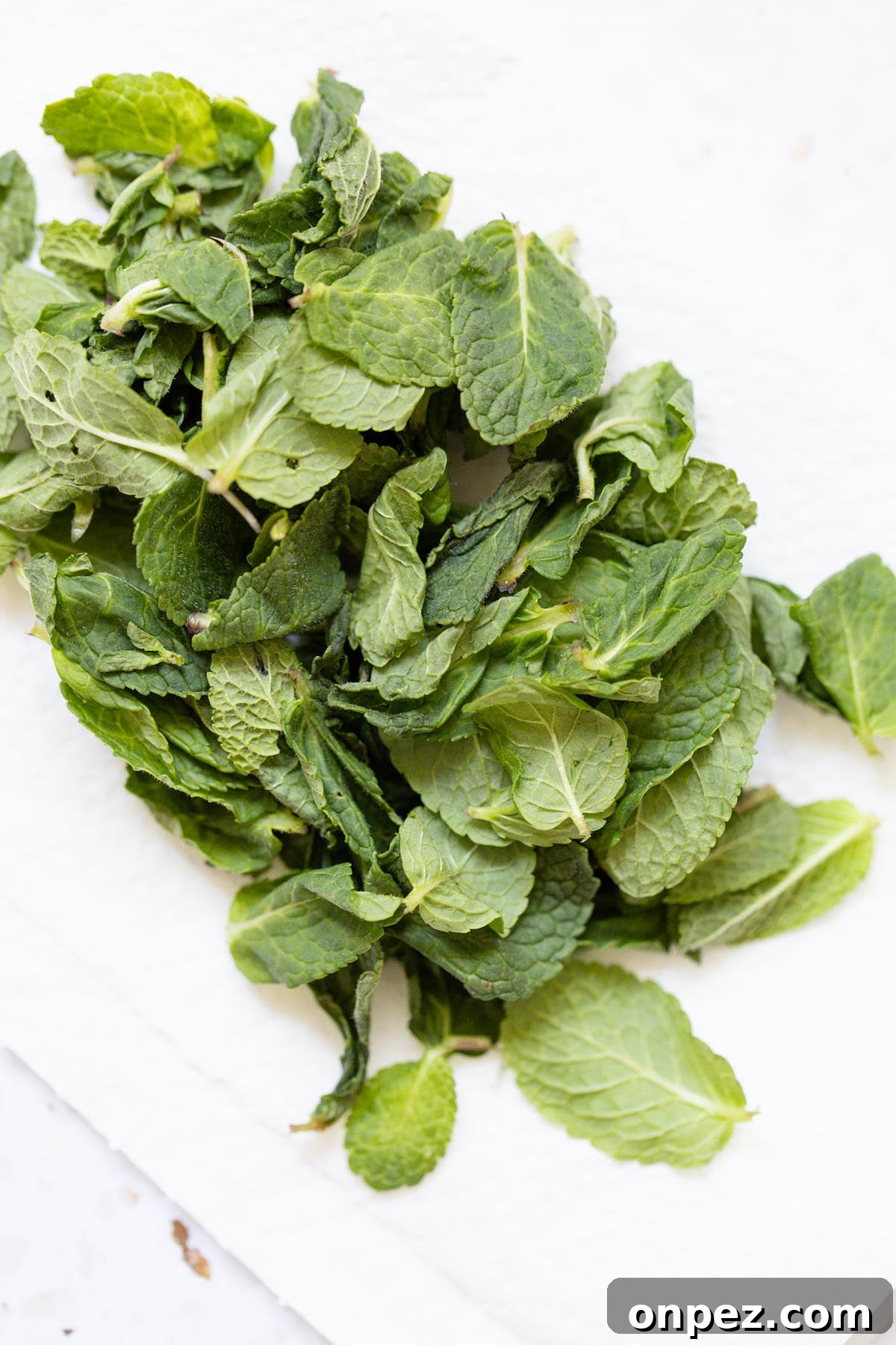 Mint leaves