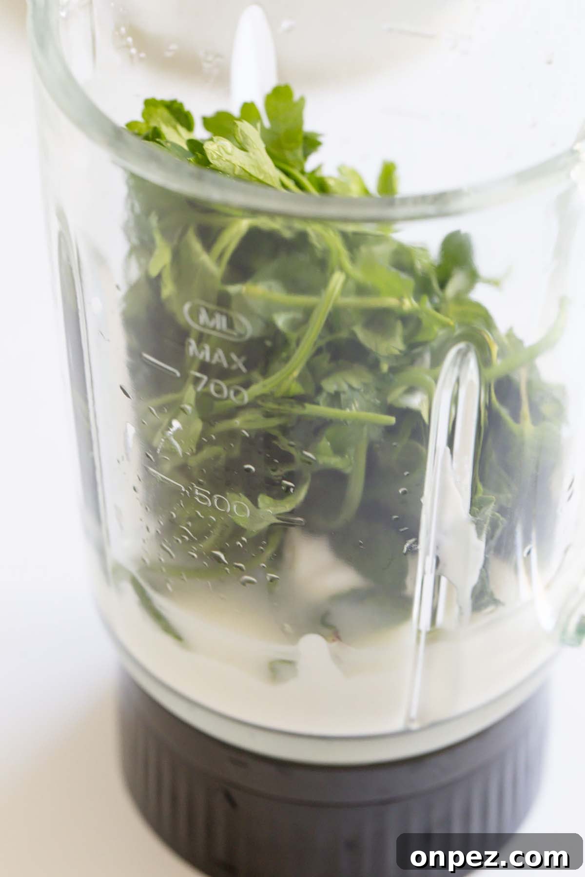 Ingredients in the blender