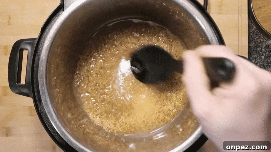 Instant Pot Brown Rice Recipe 7 Stirring brown rice and water