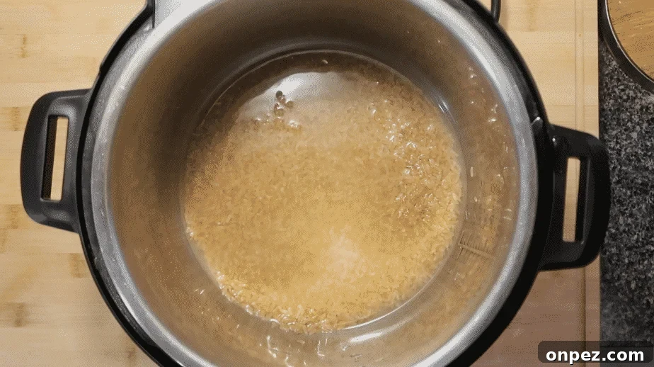 Instant Pot Brown Rice Recipe 8 Brown rice submerged in water before pressure cooking